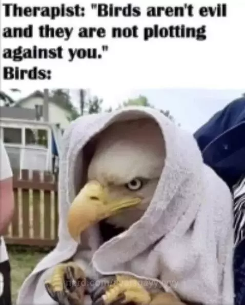 bored by avaisgayyyyyy