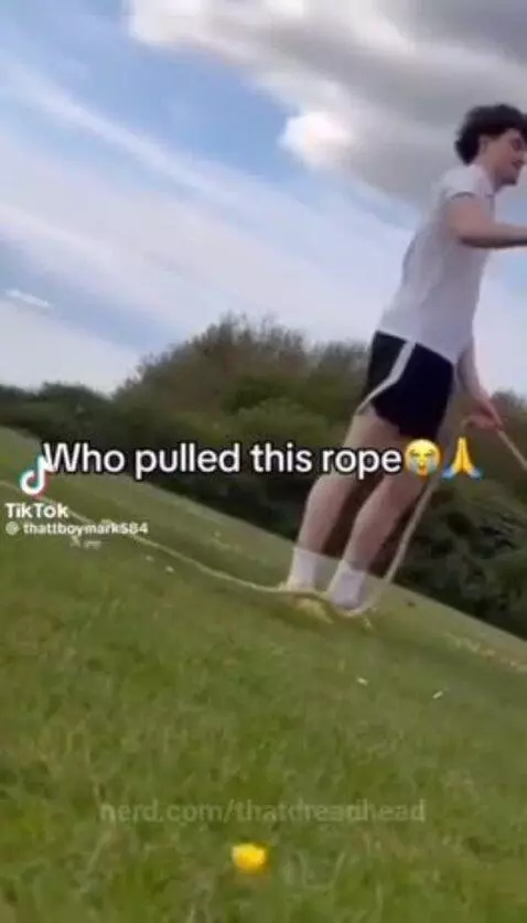 Who pulled ts🥀 by thatdreadhead