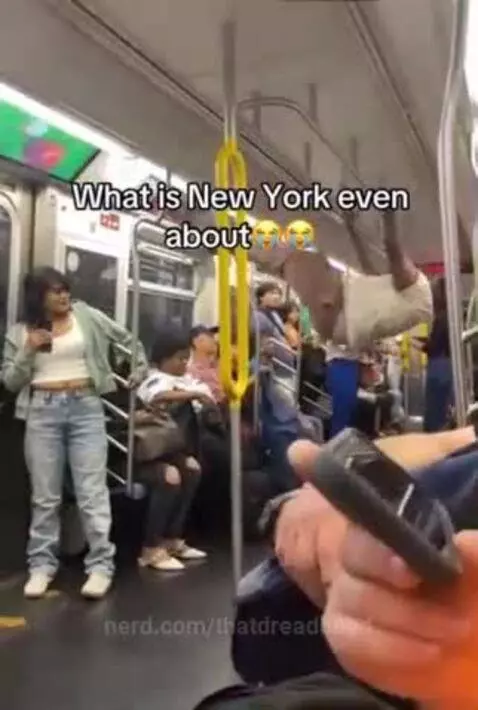 Anything but a job🥀 by thatdreadhead