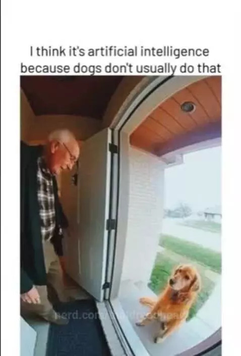 I think bros lost by thatdreadhead