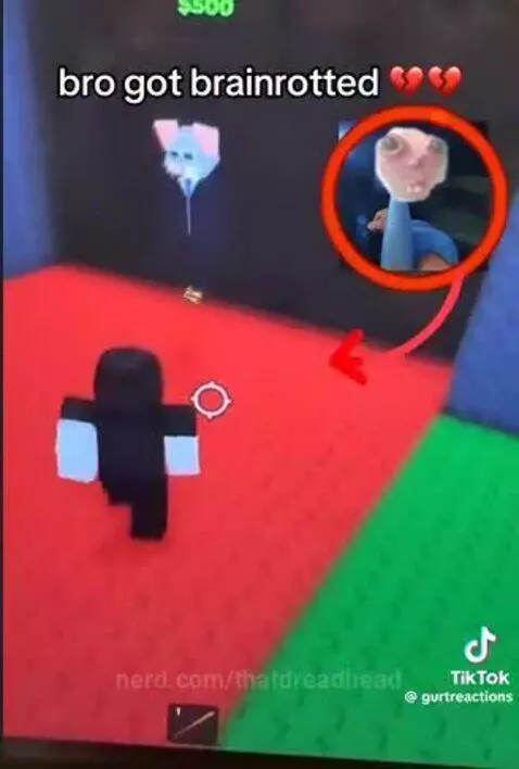 bro got brainrotted by thatdreadhead