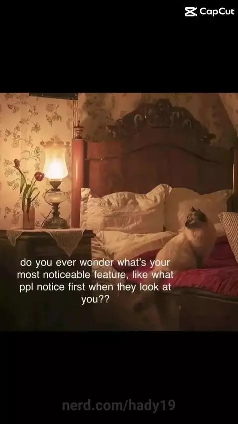 WHAT IS IT???!!!!???!! by hady19