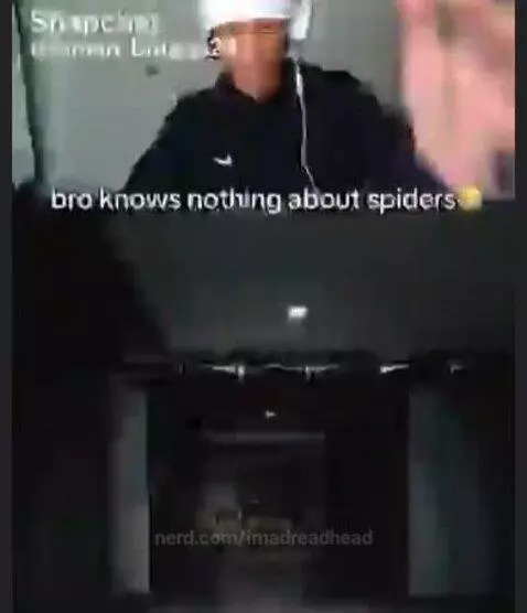 nothing about them by imadreadhead