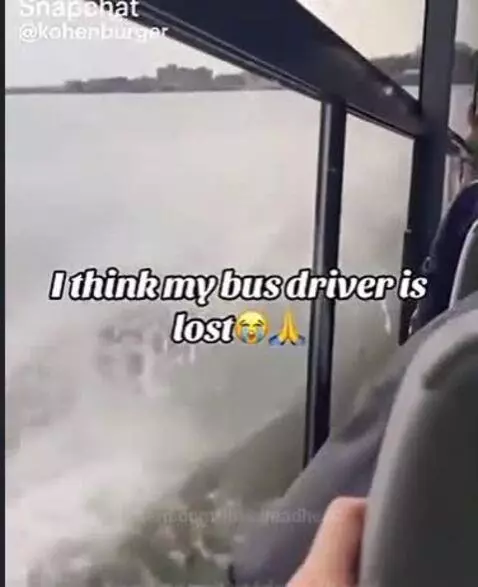 brooooo nooo by imadreadhead