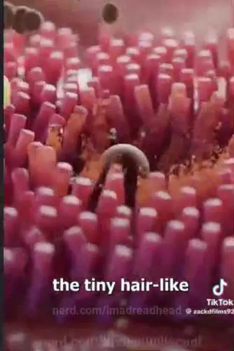 smoking by imadreadhead