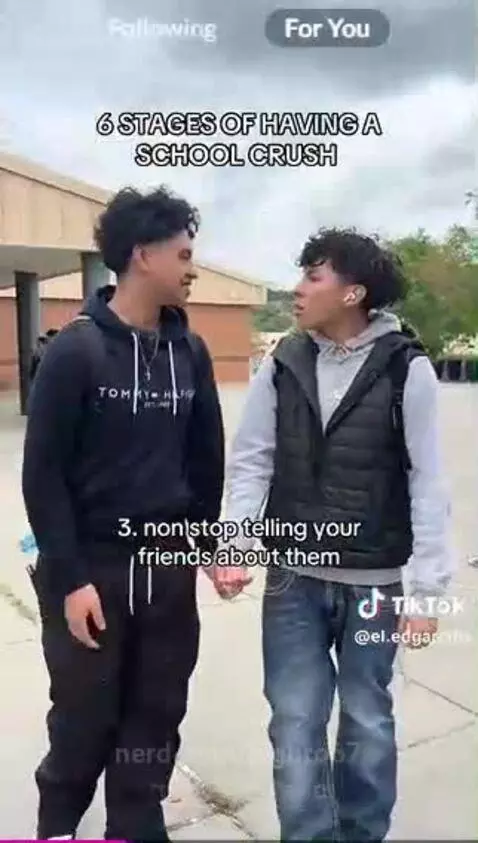 6 STAGES OF HAVING A SCHOOL CRUSH by bigbro67