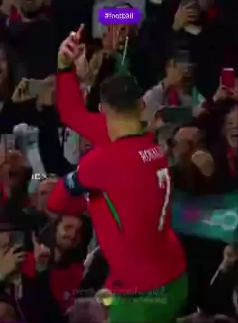 SUUUUU!!!!! by dululu67