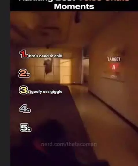 Ranking Best Voice chat Moments by thetacoman