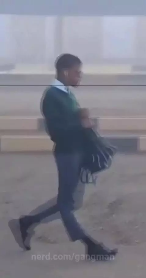 who dropped me this shyt by gangman