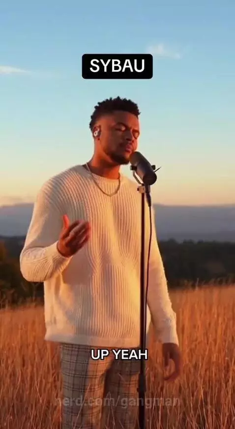 Sybau.🥀 by gangman