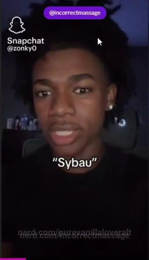 this isn't mine its just so peak by purevanillaloveralt