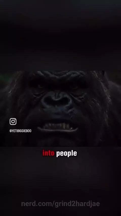 Video by grind2hardjae