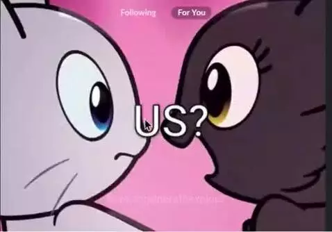 #Pls like and follow jjk by norathexplora