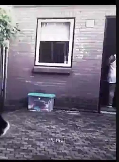 This transition😮‍💨🔥 by alkaabi704