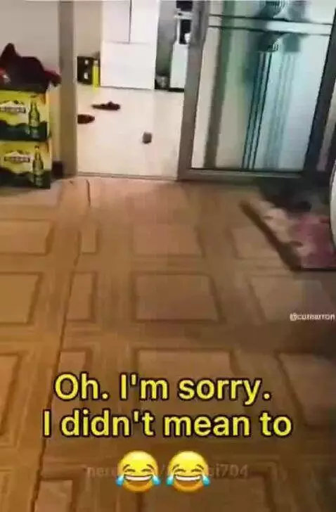 funny videos by alkaabi704