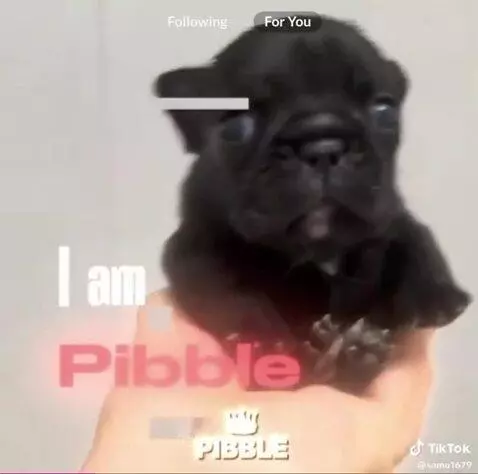 Sorry for the long break by albert1