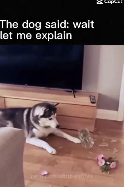 Wait wait wait wait by slothwaffles