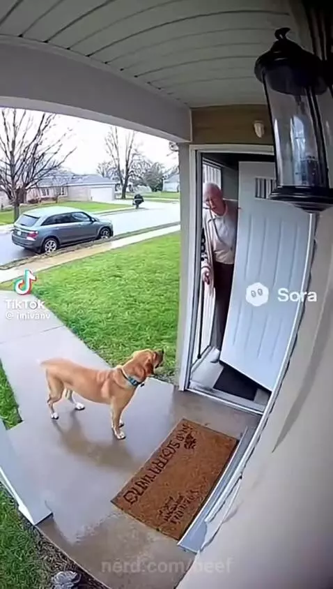 How long was the dog holding that in??? by beef