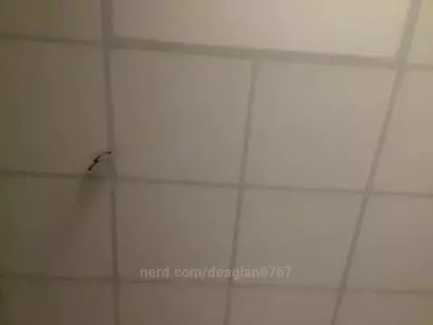 Video by deaglan6767