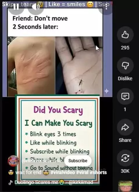 frr broo by singingatleast3