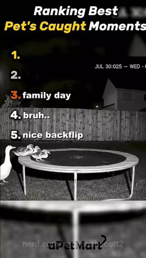 Video by savannahscott2