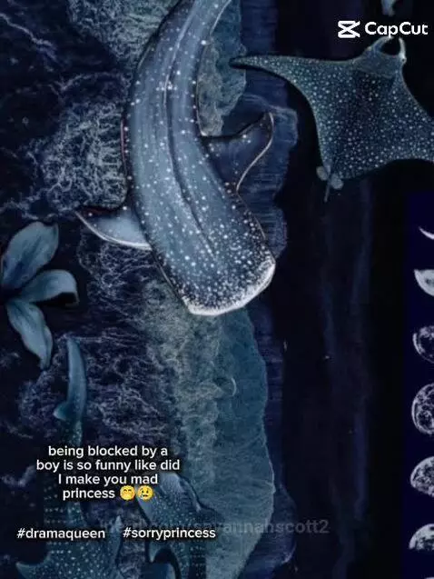 Video by savannahscott2