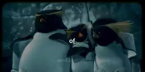 You are important to people not even but lots of people Have... by ally