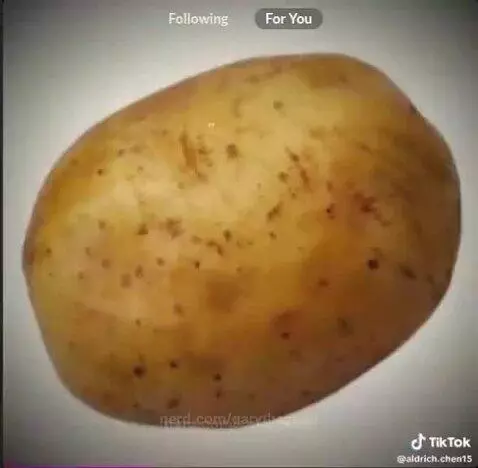 PATATO by garythesnail