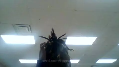 do NOT mind my teacher by toeeaters