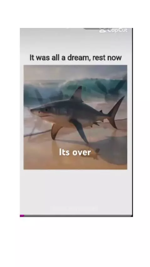 Video by rat-cheeses