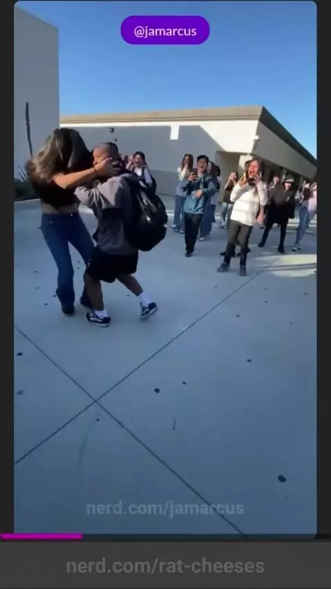 Fight by rat-cheeses