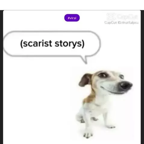 Video by rat-cheeses