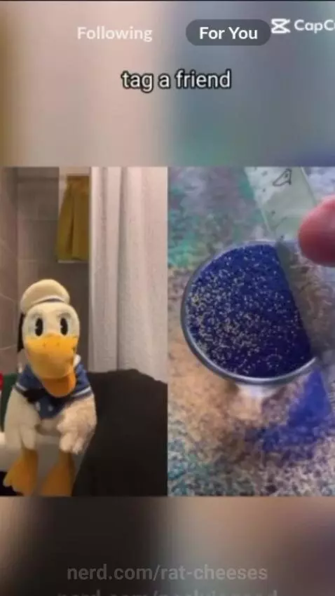 Video by rat-cheeses