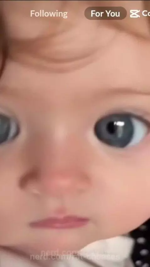 Video by rat-cheeses