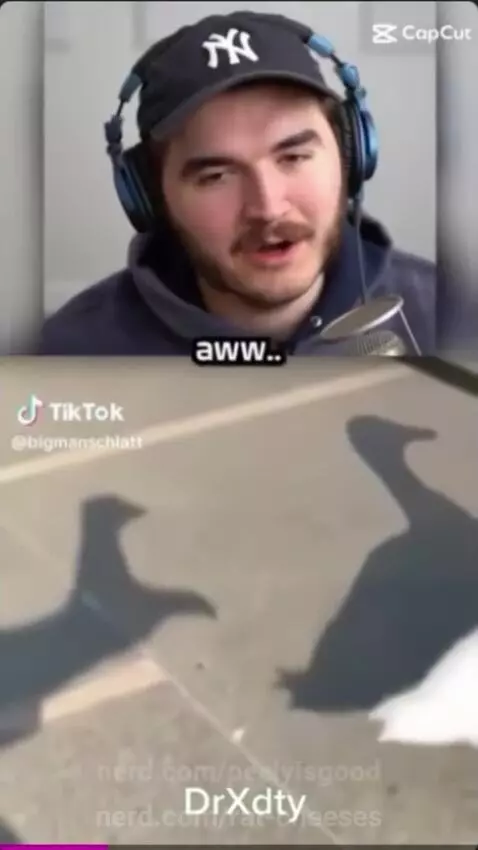 Video by rat-cheeses