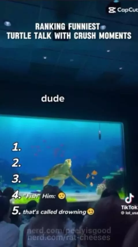 Video by rat-cheeses