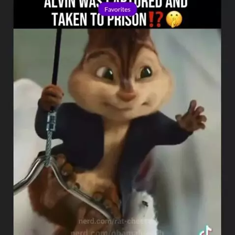 Video by rat-cheeses