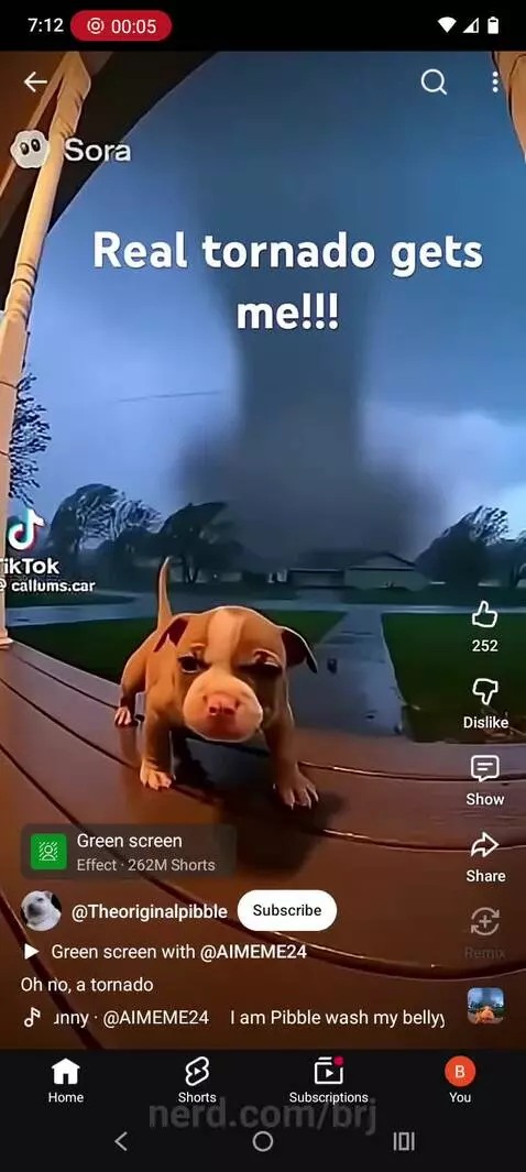 NOOOOO Pipple🥺🥺🥺 by brj