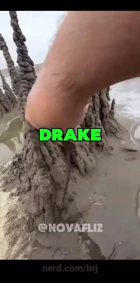 The one kid🤬🤬🤬 by brj