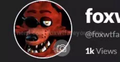 Guys thank you so much for 1K views you cannot express how h... by foxwtfareyoudoing