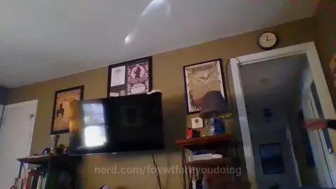 Thanks for 10k here is a vid to celebrate by foxwtfareyoudoing