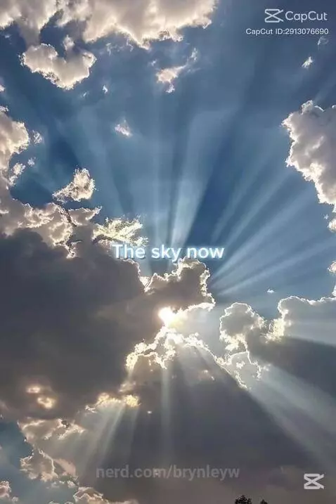 Stranger things by brynleyw