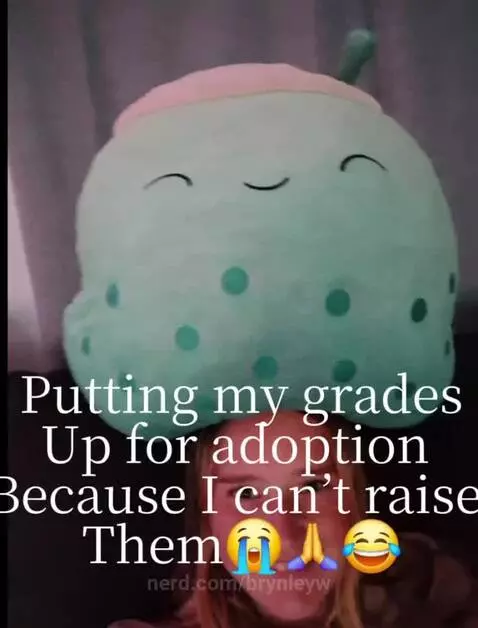 Video by brynleyw