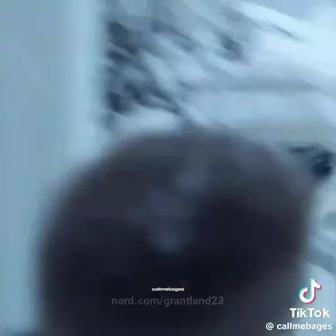 What happened to these type of commercials by grantland23