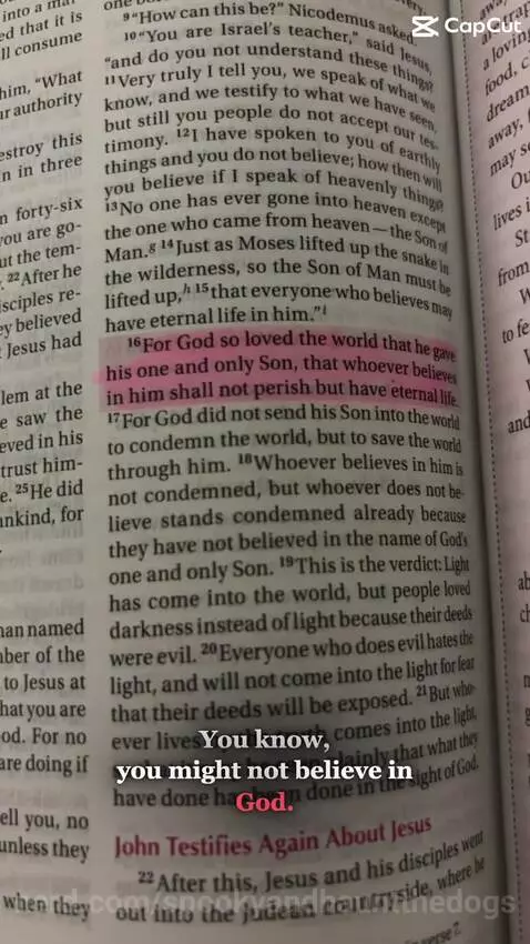 YOU MAY NOT BELIEVE IN GOD BUT HE MOST DEFINITELY BELIEVES I... by spookyandhauntthedogs