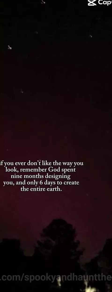 Video by spookyandhauntthedogs