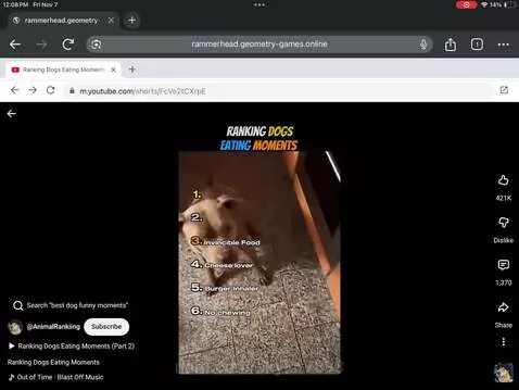 Funny dogs by skyler7893