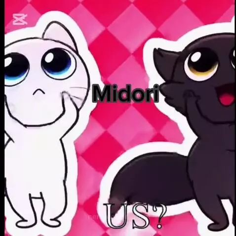 The best parner by midori