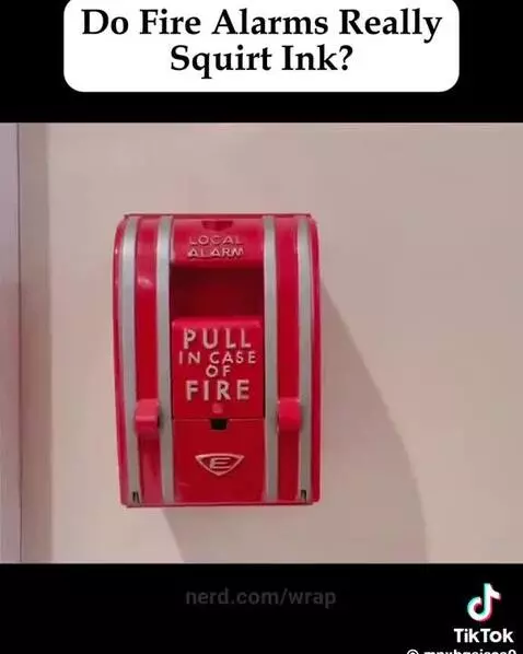 Do fire alarms really squirt ink?🤔💭 by wrap