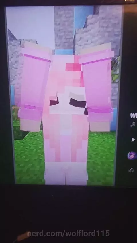 Leave a like if you like aphmau by wolflord115